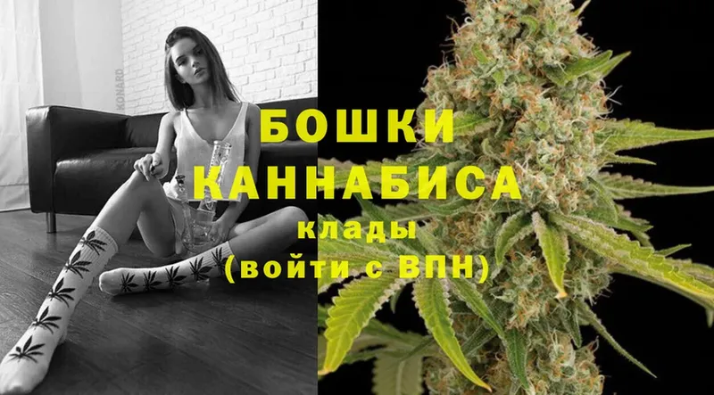 Каннабис Bruce Banner  Дигора 